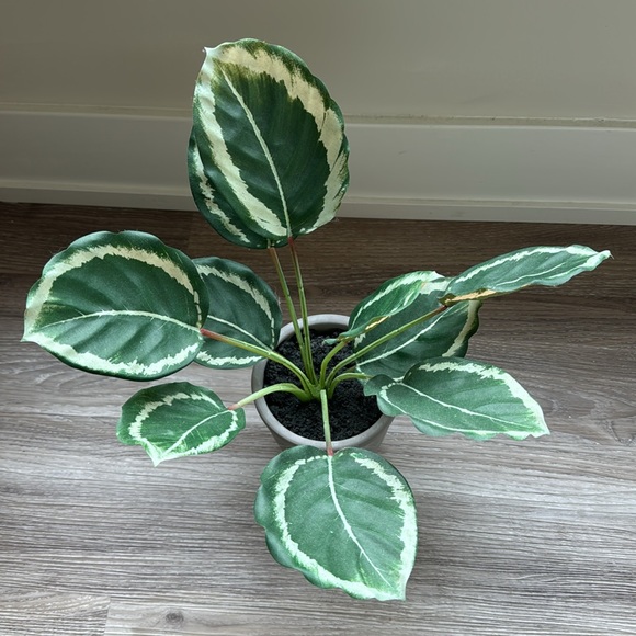 Hearth & Hand with Magnolia Faux Calathea Ceramic Potted Plant - Picture 3 of 6